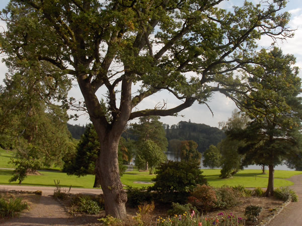 Environment & Sustainability